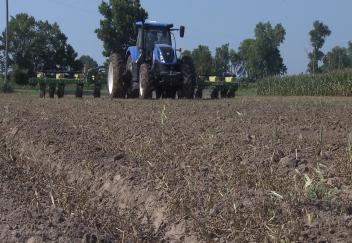 Black Farmers Field Day features agriculture opportunities